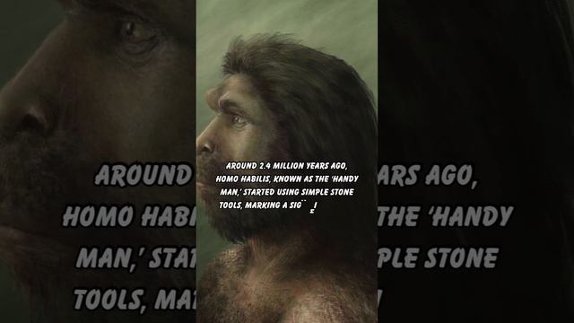 THE HUMAN ORIGINS JOURNEY: HISTORY FACTS