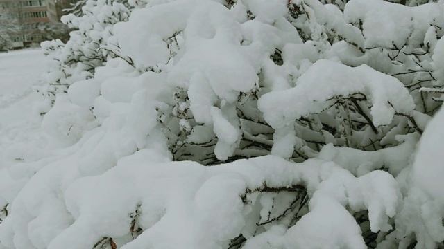 Изменения.mp4