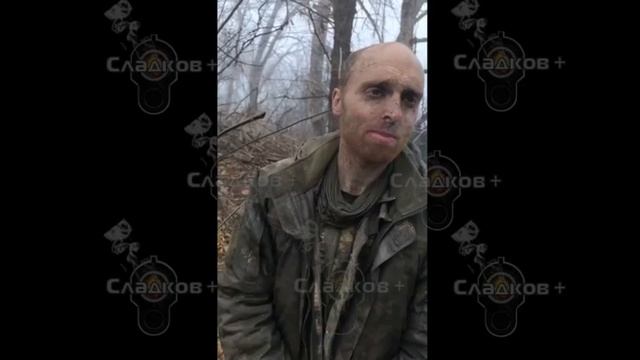 Учитель из Австралии приехал убивать на русскую землю