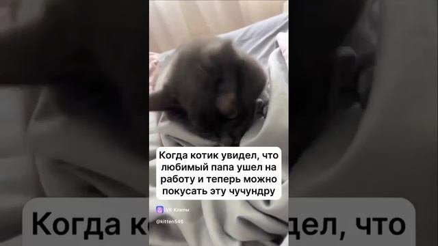 1000013039.mp4