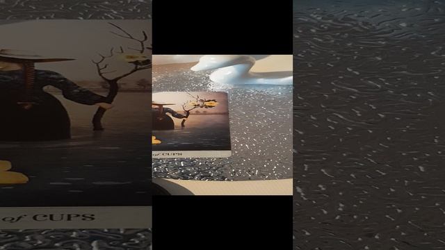 20241221_142005.mp4  Замороженные чувства