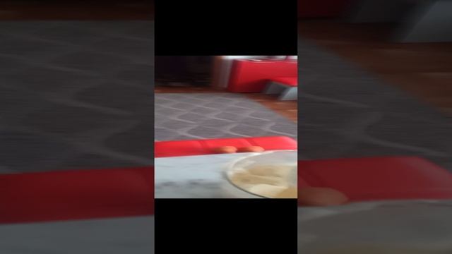 VID_20240419_191931.mp4