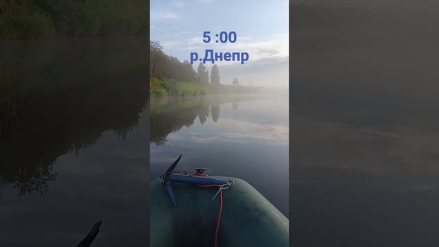 Утренний Днепр 2023 года #природа2023 #щуканавоблер #щуканаблесну #рыбалка