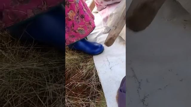 чум ставят на несколько месяцев
