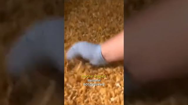 Топ-3 "случайных" научных открытия - 2 #смотричтонашёл #интересно #наука #открытия #случайно