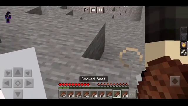 Minecraft manhunt but if i die i win|| with #BlackWhiteGaming