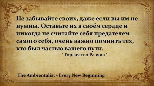 The Ambientalist GIF