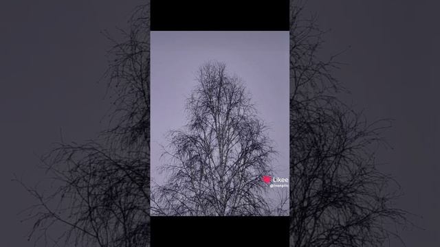 1000019660.mp4