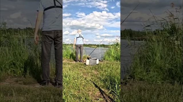 Утка на фидер. Ну почти ))