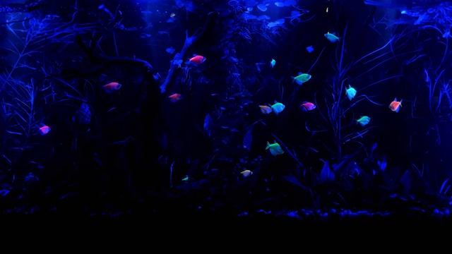 1111 Гц – Музыка быстрого расслабления | КРАСИВАЯ МЕЛОДИЯ ДЛЯ ДУШИ