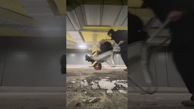 Что видели мои глаза в 2024?