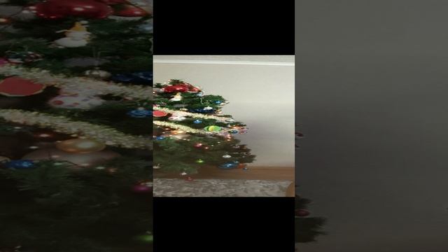 1000109610.mp4Пуховые изделия у Ольги из Волгоградской области .т.89020931602.