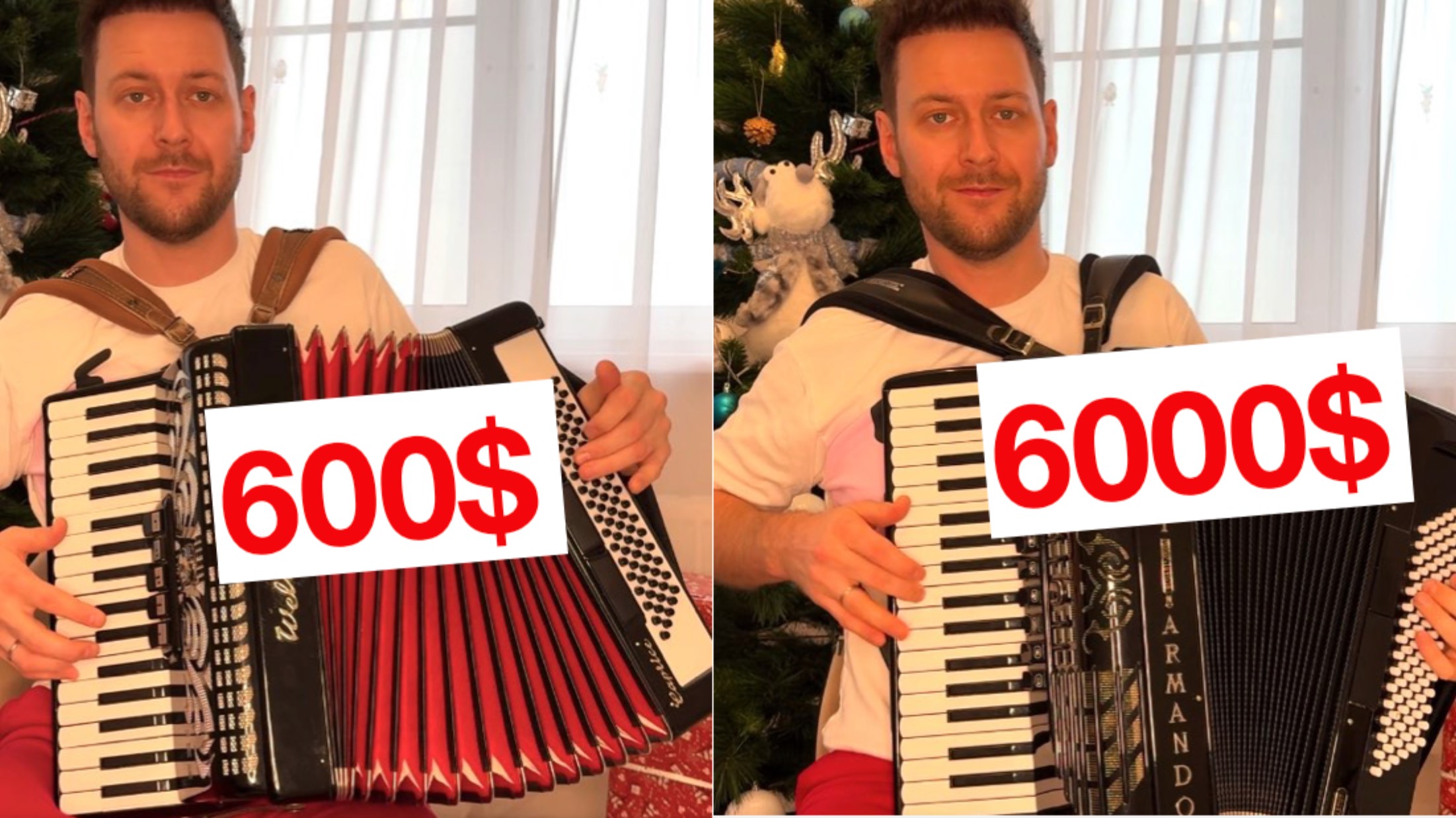 Услышишь ли разницу между дешевым и дорогим Аккордеонами Баянами гармонями