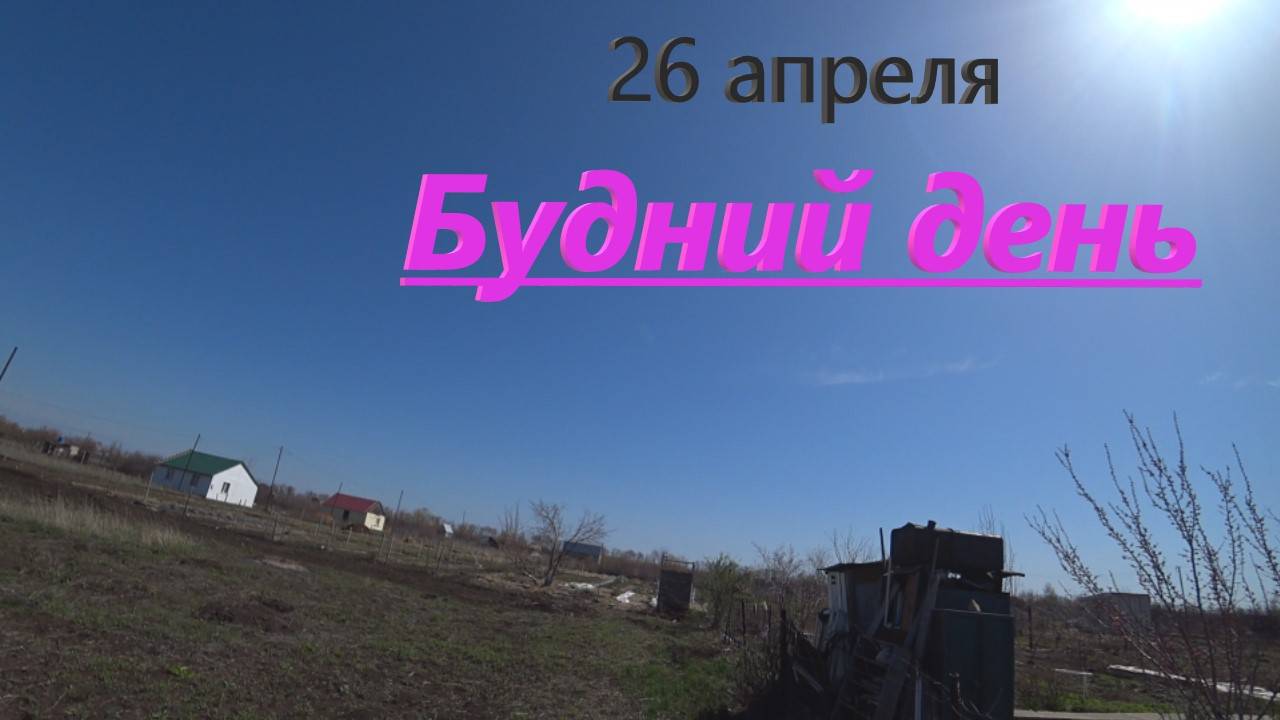 №31 г. Оренбург 26 апреля 2022 Будний день