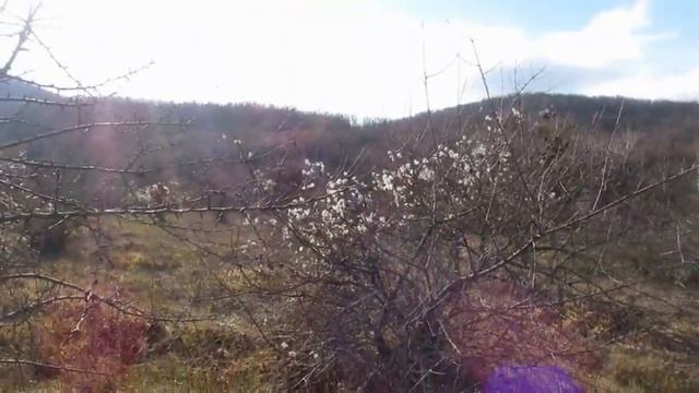 По окрестностям р. Бодрак