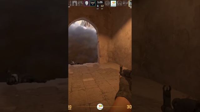 Zeus24122105