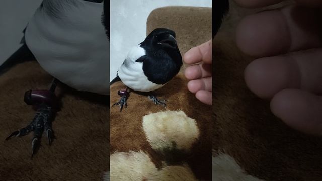 пол года как с нами.