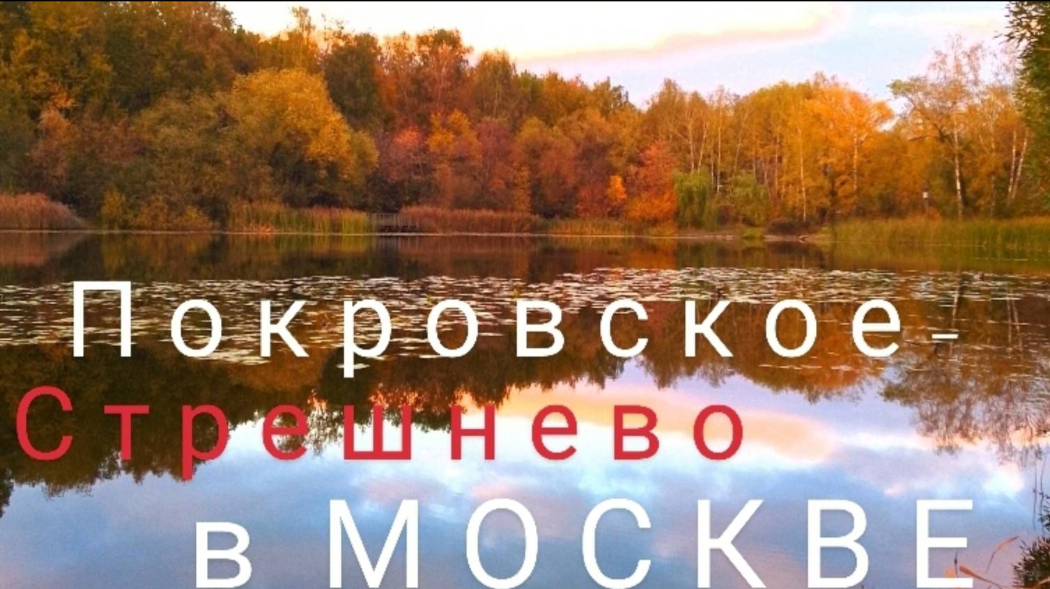 Не хотелось уходить из этого парка. Дачники на велосипеде с козой. Виды для тех, кто устал