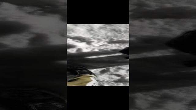 1000401818.mp4