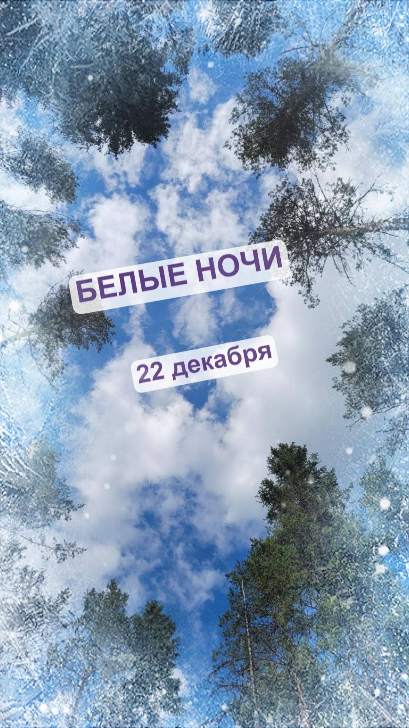 Белые ночи в декабре.🕺