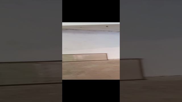 1000061831.mp4