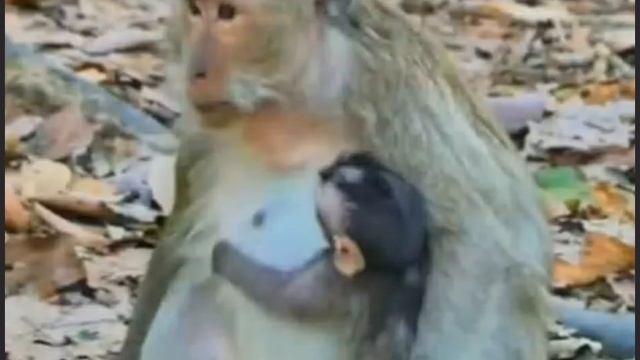 Если у вас растёт беспокойный малыш