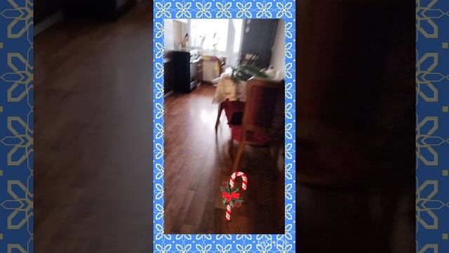 В гостях у бабушки