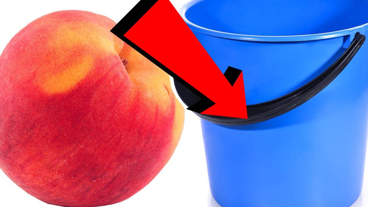 Как подкормить персик За 3 Секунды