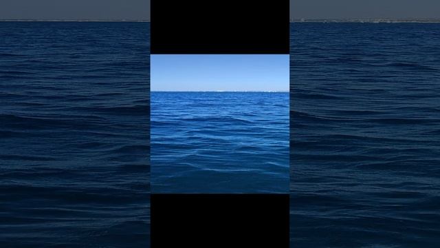 5425a77a-2b17-4993-aa51-c75069e63518-1_all_8558.mp4