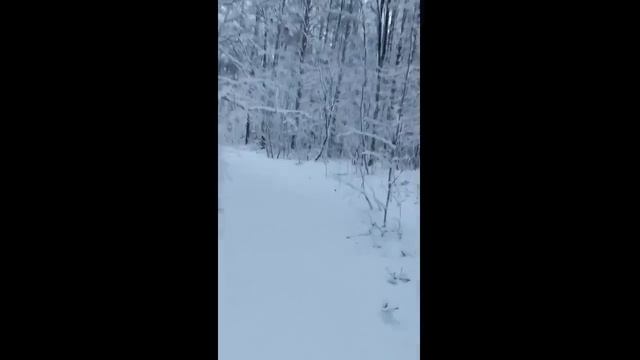 Еду зимой в землянку. Первый зимний поход