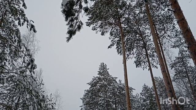 Заметает снег.