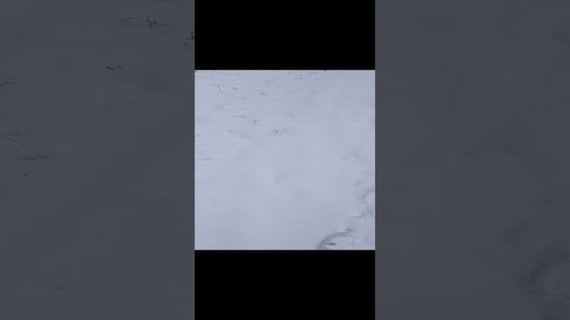 VAGIFOK ОСНОВА ПРЕДСКАЗАНИЯ ЧЕРЕЗ ОЩУЩЕНИЯ ЧАСТЬ 37