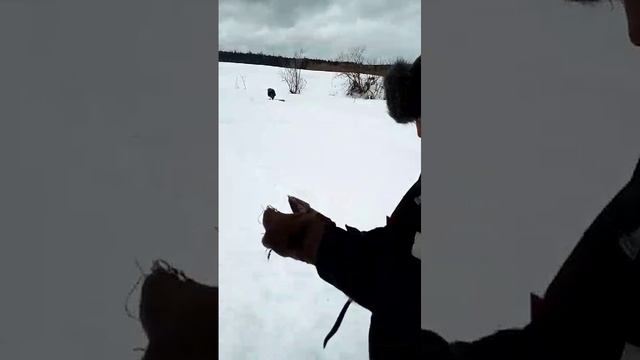 весеняя рыбалка