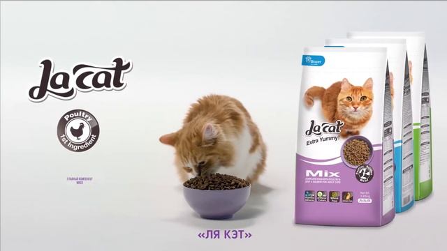 La Cat - ГЛАВНЫЙ КОМПОНЕНТ МЯСОА ВКУС ПРЕКРАСЕН!