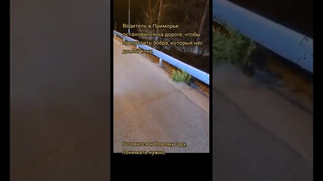 И вас с наступающим! 😜