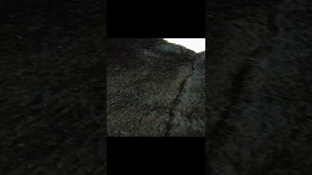 Отрезы искусственного меха