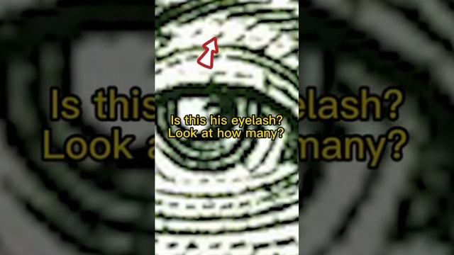 #микромир #подмикроскопом #интересно #наука #микроскоп