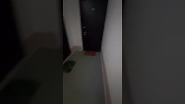 Тюменский