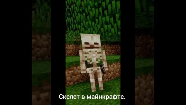 1000030387.mp4