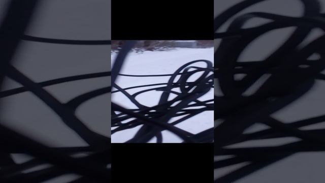 1000023013.mp4