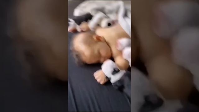 Прикольные зверюшки