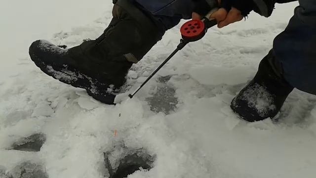 Приехали на рыбалку,встретили коллегу))))))