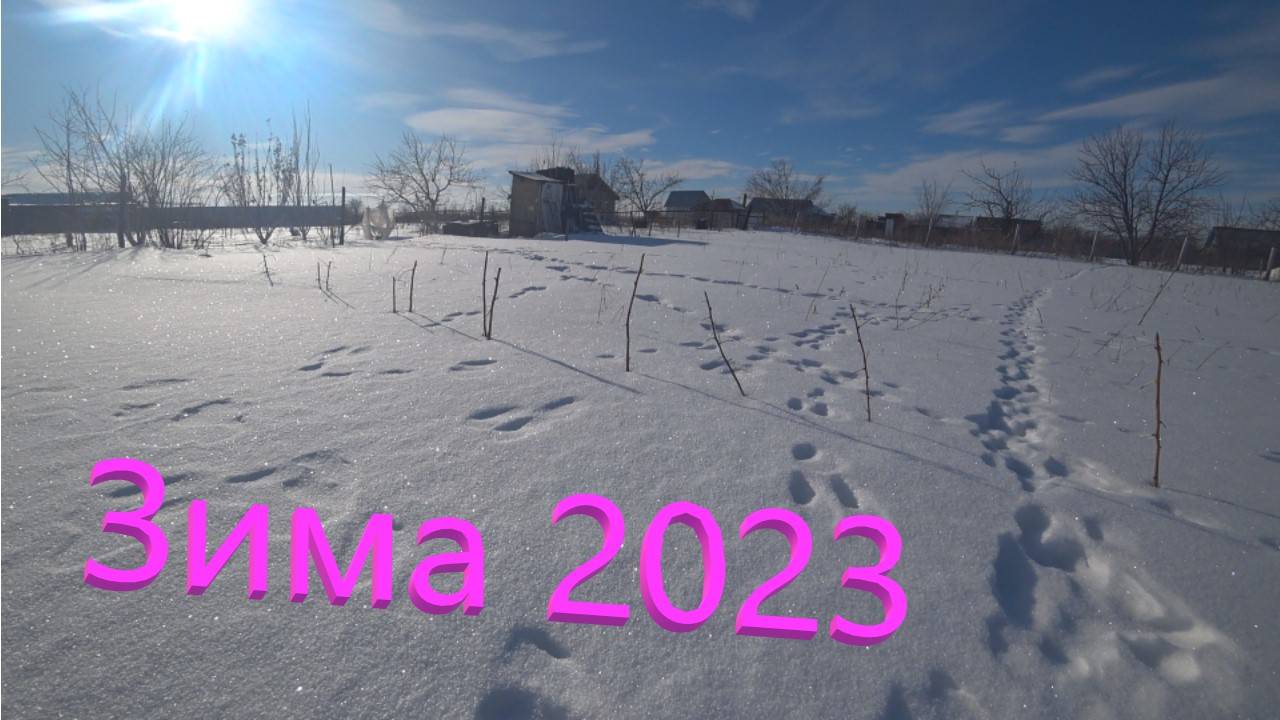 №46 Январь 2023 как зимовали