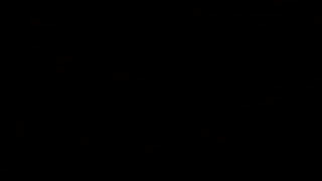 VID_20241222_155928.mp4