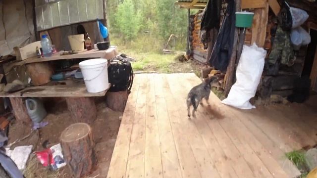Хариус за мелями , часть 2 ...жесть !!!! Посадил лодку на брюхо в пороге   Хариус по пути домой