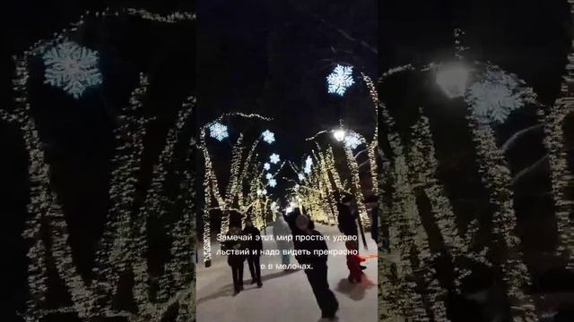 Новосибирск почти готов к встрече НГ