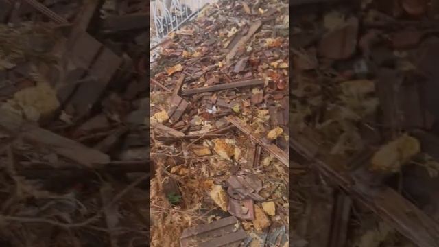 Бог войны Барс 27! зарисовки Доктора! подпишись на канал будь человеком