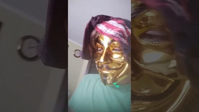 когда в дом залетела пчела