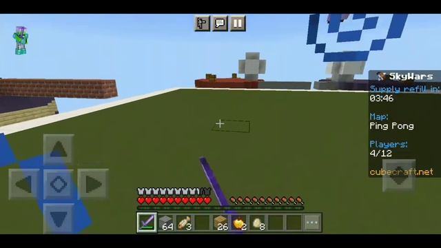 Using Dream Skin To Win A Game Of Sky Wars In Minecraft