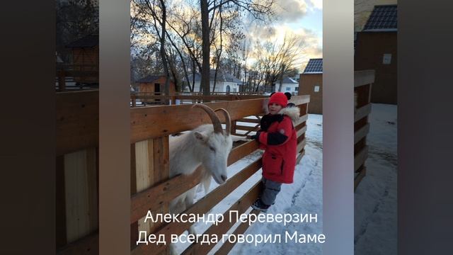 Александр Переверзин "Дед говорил маме" #стихи #современные поэты #братьянашименьшие